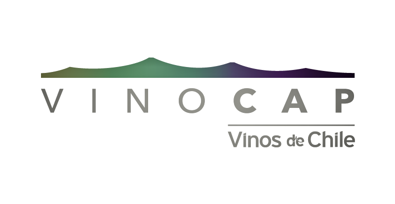VinoCap Plataforma Virtual